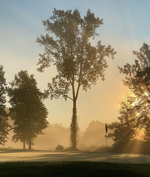 Sunrise over the tree line of the course with the morning haze in the air